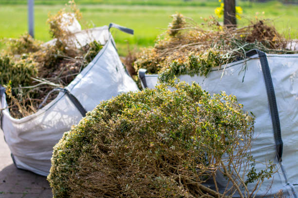 Best Yard Waste Removal  in Medford, NY